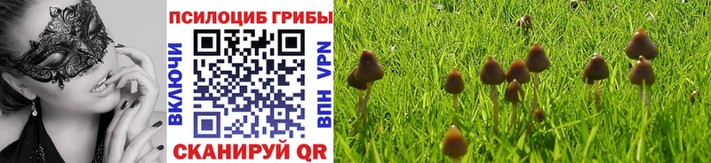 Купить где  Воскресенск  Галлюциногенные грибы ЛСД 